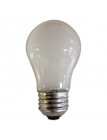 Bosch Light Bulb 8009